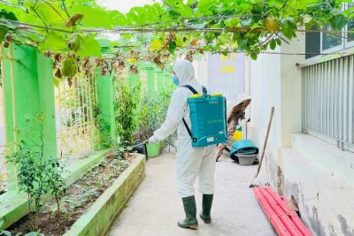Thông báo về việc phun thuốc diệt muỗi